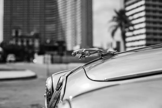 بوكيت وين كازينو تطبيق أندرويد/آي أو إس